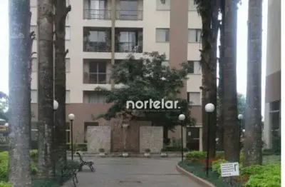 Apartamento com 3 dormitórios à venda, 65 m² por r$ 480.000,00 - parque são domingos - são paulo/sp