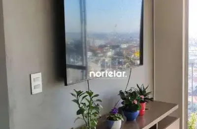 Apartamento com 3 dormitórios à venda, 63 m² por r$ 480.000,00 - vila amélia - são paulo/sp