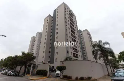 Apartamento 3 quartos à venda, jardim íris - são paulo/sp