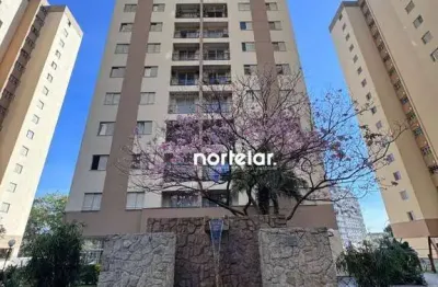 Apartamento com 3 dormitórios à venda, 70 m² por r$ 450.000,00 - parque são domingos - são paulo/sp