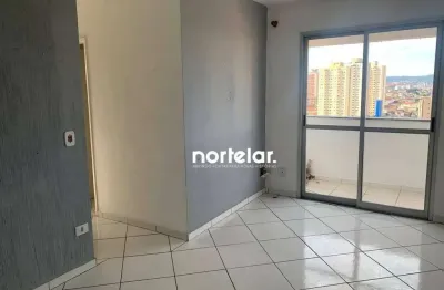 Apartamento com 3 dormitórios à venda, 58 m² por r$ 410.000,00 - vila pereira barreto - são paulo/sp