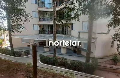 Apartamento com 2 dormitórios à venda, 53 m² por r$ 320.000,00 - v. aurora - são paulo/sp