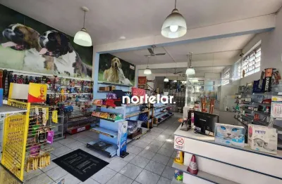 Salão para alugar, 130 m² por r$ 5.000,00/mês - pirituba - são paulo/sp