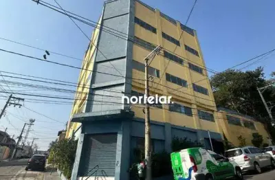Prédio, 800 m² - venda por r$ 2.200.000,00 ou aluguel por r$ 18.550,00/mês - vila carbone - são paulo/sp