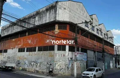 Galpão, 2700 m² - venda por r$ 8.000.000,00 ou aluguel por r$ 30.000,00/mês - vila palmeiras - são paulo/sp