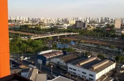 Apartamento com 2 dormitórios à venda, 57 m²  - piqueri - são paulo/sp
