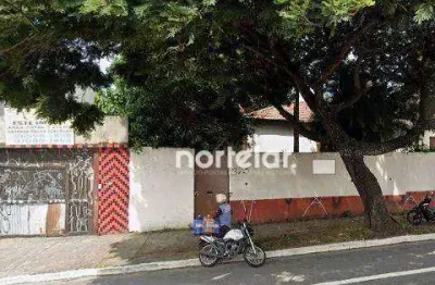 Terreno à venda, 1431 m² por r$ 3.830.000 - freguesia do ó - são paulo/sp.