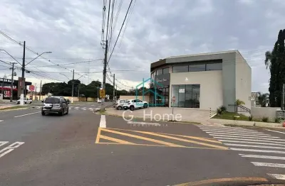 Loja para alugar, 160 m² por r$ 10.000/mês - conjunto vivi xavier - londrina/pr