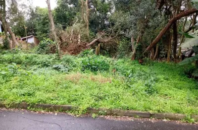 Terreno à venda na Beco Serrito, 134, Vila Nova, Porto Alegre