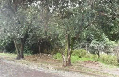 Terreno à venda, 1200 m² por r$ 556.000,00 - vila conceição - porto alegre/rs