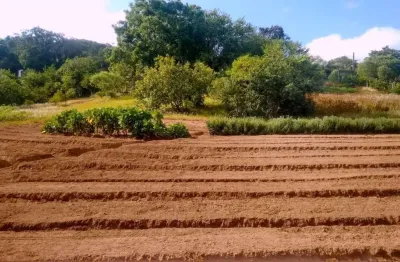 Atenção linda área de 12.335,90 m2 plana e plantada estudo carro e imovel no pag