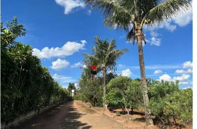 Sítio com 3 dormitórios à venda, 30000 m² por - são carlos/sp i imobiliária brioni imóveis