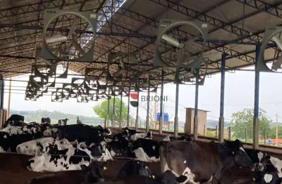 Sitio a venda em cajuru l imobiliária em ribeirão preto i brioni imóveis