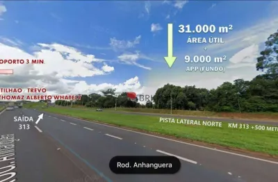 Área na rodovia anhanguera, a venda, 40.000m²,  ribeirão preto/sp