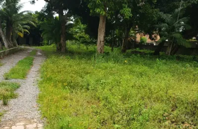 Terreno comercial para alugar na Rua Severiano Nunes, Aleixo, Manaus