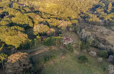 Chácara / sítio com 3 quartos à venda na Aleixo Collere, 400, Cerne Papanduva, Campina Grande do Sul
