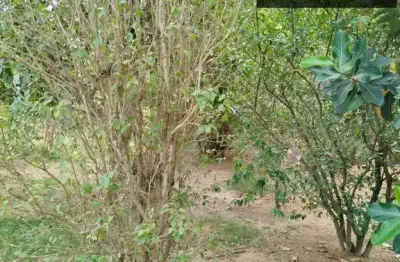 Chácara / sítio à venda na Área Rural de Betim, Betim 