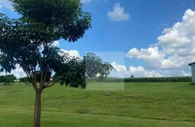 Terreno à venda, 1628 m² por r$ 6.514.000,00 - jardim olhos d'água - ribeirão preto/sp