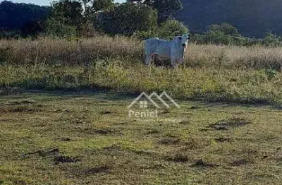 Fazenda com 3 dormitórios à venda, 2216720 m² por r$ 6.305.000,00 - zona rural - minaçu/go