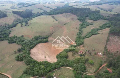 Sítio à venda, 190516 m² por r$ 1.000.000,00 - zona rural - jacui/mg