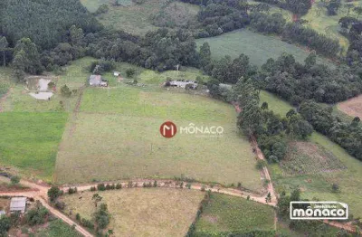 Sítio com 3 dormitórios à venda, 85000 m² por R$ 1.200.000,00 - Centro - Ortigueira/PR