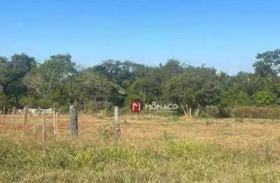 Terreno à venda, 8400 m² por R$ 3.550.000,00 - Estância Cabral - Londrina/PR