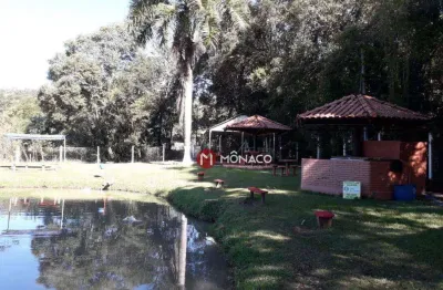 Chácara / sítio com 2 quartos à venda na Estrada Major Archilles Pimpão, Jardim Vale Verde, Londrina, 620 m2 por R$ 4.550.000