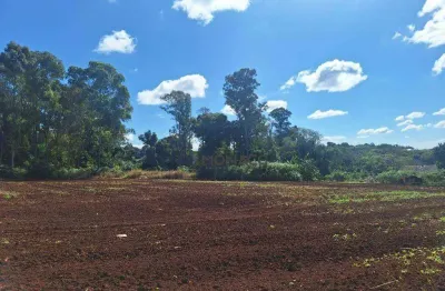 Terreno à venda na Estrada Antonio Pieroli, Gleba Ribeirão Cafezal, Londrina por R$ 4.480.000