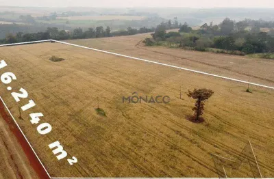 Área à venda, 162.140 m² por R$ 9.900.000 - Novo Aeroporto - Londrina/PR