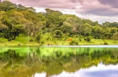 Terreno em condomínio fechado à venda na Alameda das Espatódias, S/N, Residencial Aldeia do Vale, Goiânia