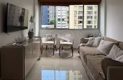 Apartamento à venda moema pássaros, 74m², 2 dormitórios e 1 vaga - lazer.