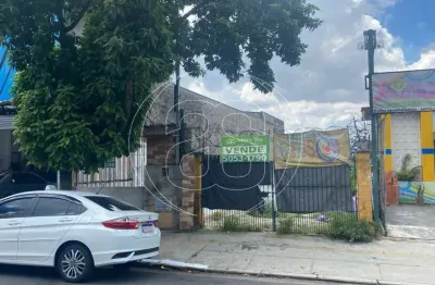 Terreno à venda na Avenida Santa Catarina, 1161, Vila Mascote, São Paulo
