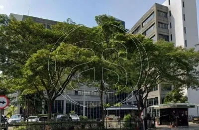 Conjunto comercial para locação, chácara santo antônio, são paulo, sp