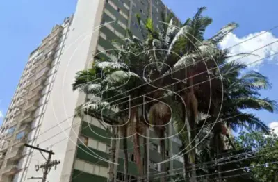 Apartamento com 3 quartos à venda na Rua João de Souza Dias, 586, Campo Belo, São Paulo
