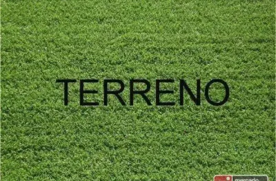 Terreno à venda, 650 m² por R$ 2.100.000,00 - Bosque das Juritis - Ribeirão Preto/SP