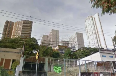 Terreno comercial à venda, república, ribeirão preto.