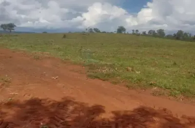 Conjunto de fazendas totalizando 2.221 hectares à venda - Ponte Alta do Bom Jesus/TO