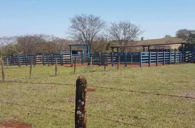 Fazenda à venda no Centro, Brodowski 