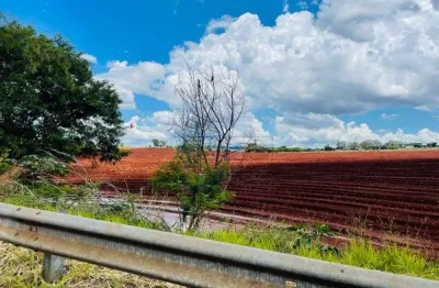 Terreno comercial para alugar no Recreio Anhangüera, Ribeirão Preto 