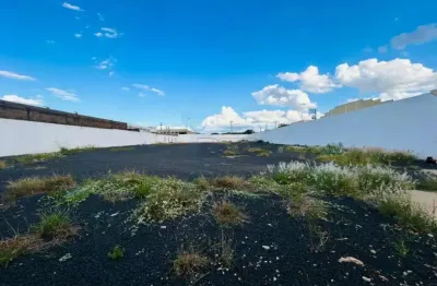 Terreno comercial para alugar na Vila Brasil, Ribeirão Preto 