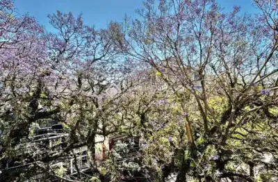 Apartamento com 2 quartos à venda na rua garibaldi, 880, bom fim, porto alegre, 73 m2 por r$ 359.000