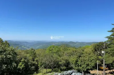 Fazenda à venda na rs 020, 230, primeiro distrito, são francisco de paula, 224 m2 por r$ 2.750.000