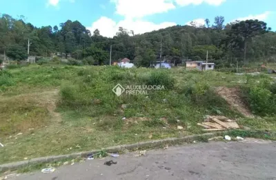 Terreno à venda na rua joão celli, 2, santa catarina, caxias do sul, 300 m2 por r$ 150.000