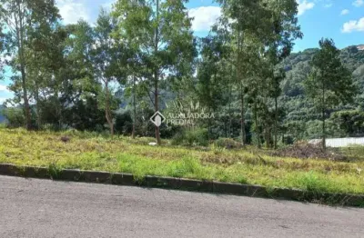 Terreno à venda na rua joão celli, 4, santa catarina, caxias do sul, 300 m2 por r$ 150.000