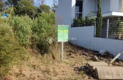 Terreno à venda na estrada municipal manoel pedrotti, 999, diamantino, caxias do sul, 330 m2 por r$ 169.600
