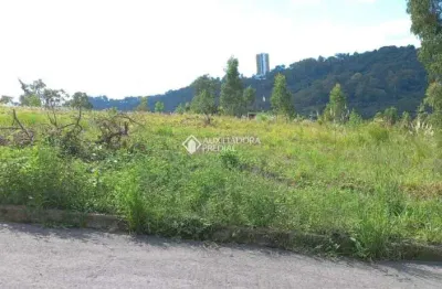 Terreno à venda na rua joão celli, 99, santa catarina, caxias do sul, 300 m2 por r$ 150.000