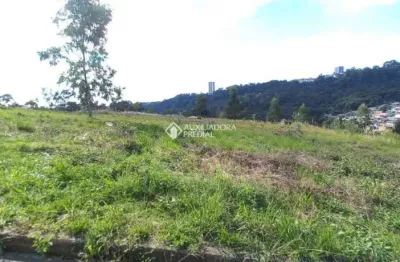 Terreno à venda na rua joão celli, 19, santa catarina, caxias do sul, 300 m2 por r$ 150.000