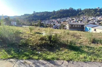 Terreno à venda na rua joão celli, 8, santa catarina, caxias do sul, 300 m2 por r$ 150.000