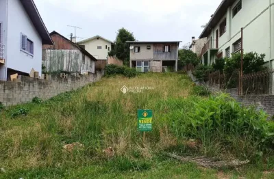 Terreno à venda na rua pará, 999, jardim américa, caxias do sul, 360 m2 por r$ 382.000
