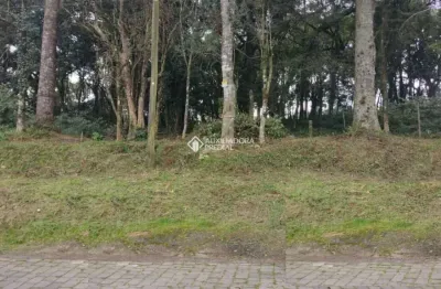 Terreno à venda na rua theodoro bianchi, 102, bela vista, caxias do sul, 600 m2 por r$ 304.000